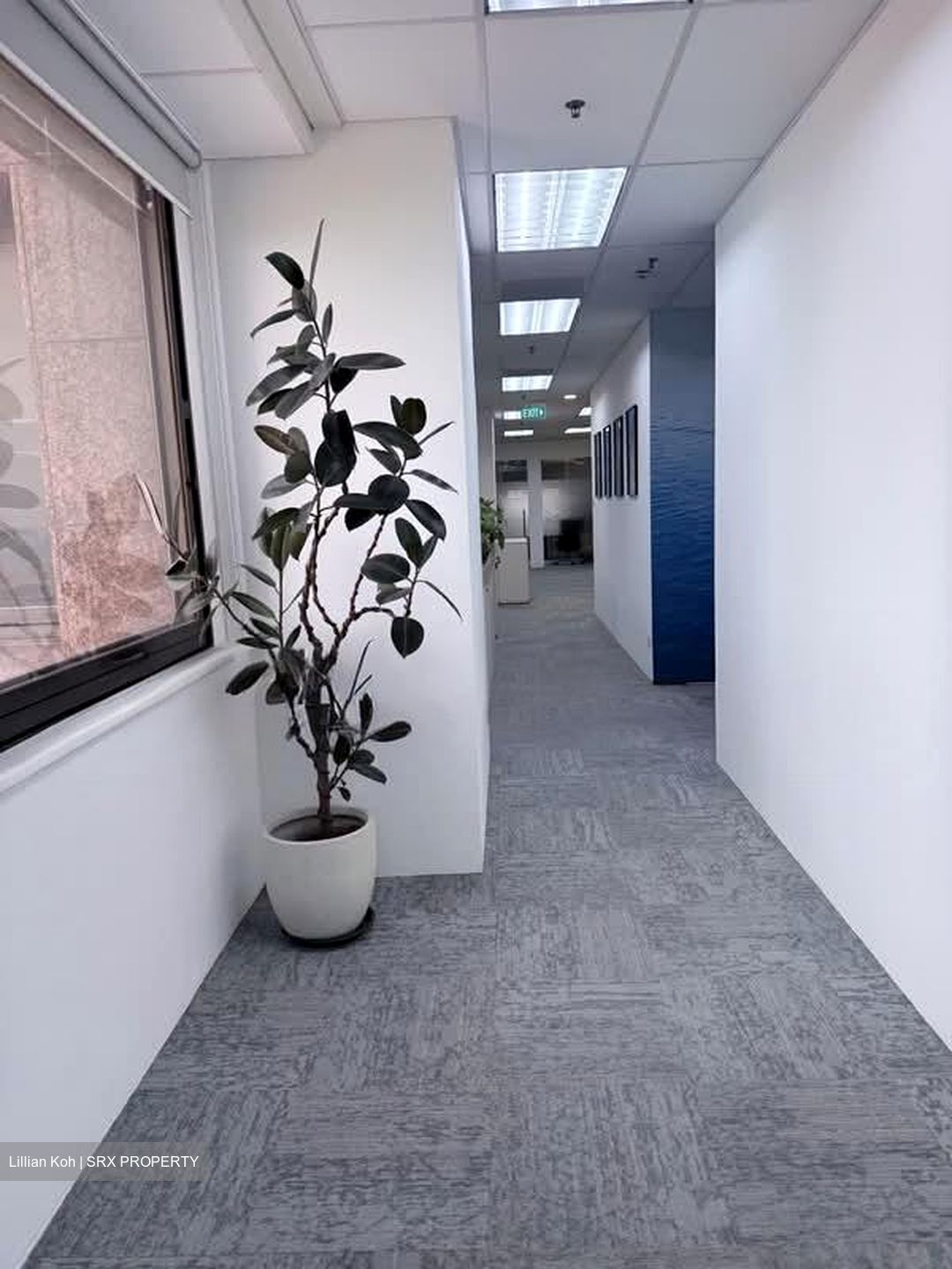 Lippo Centre (D2), Office #576175201